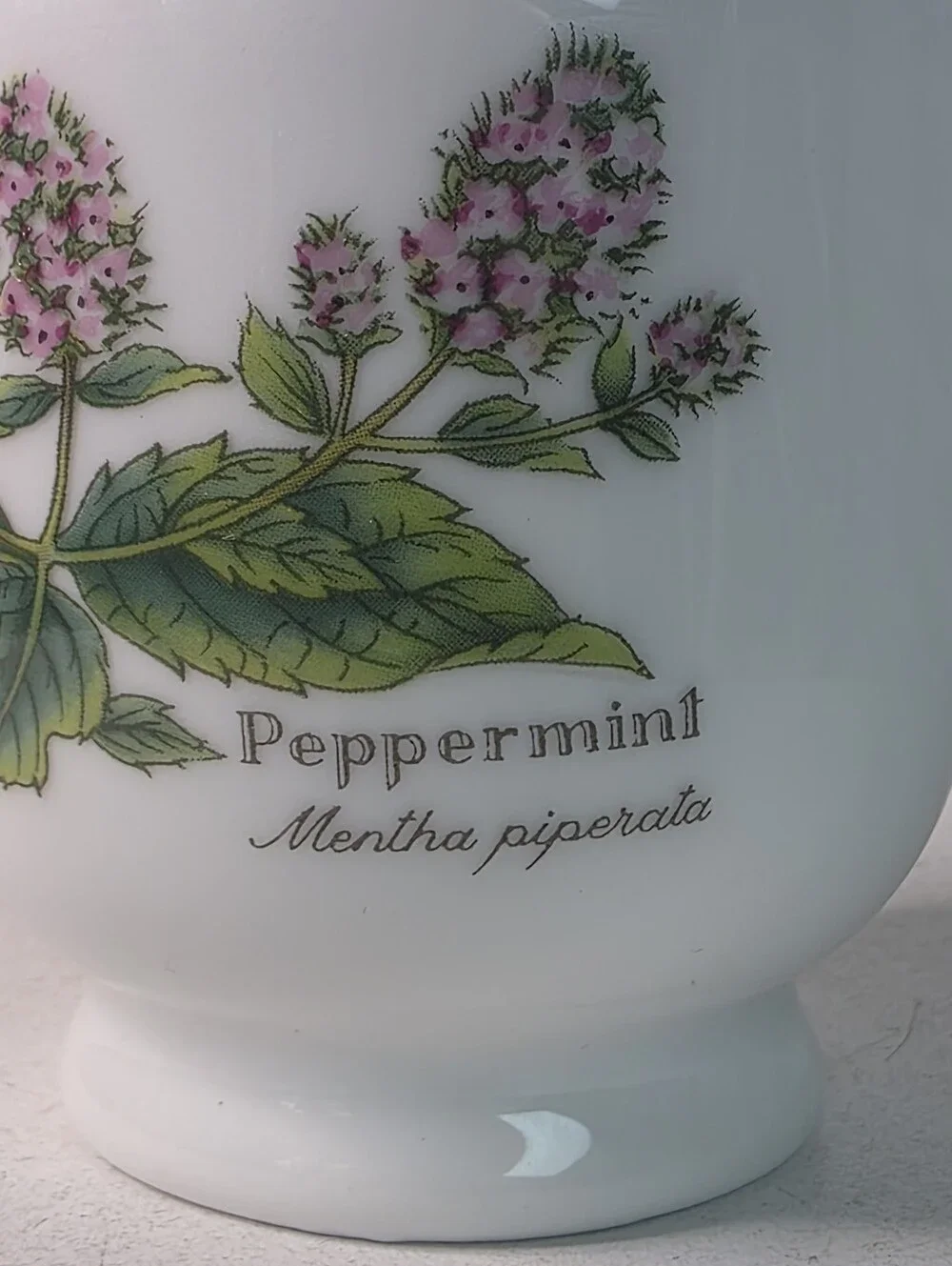 Royal Worcester Egg Coddler Peppermint Mentha piperita with Box & Booklet